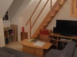 Studio 30 m2 T1 with mezzanine