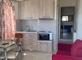 vasiliki's Apartments