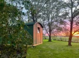 Domaine des Anes - Roulotte de la Clairière