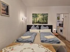 NaturBlick am Rothaarsteig neue moderne Ferienwohnung mit 2 Badezimmern 2 Küchen inklusive Highspeed Internet Flatrate 2x XXL Boxspringbett 2x Terrassen und 2x PKW Parkplätze 10 Minuten bis Willingen Ideal für Touristen und Geschäftsleute mit MWStRechnung