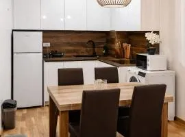 Mountain View -ski & mountain retreat, Apartment 01 PRIZEMLJE u Premium objektu