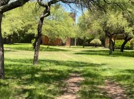 Las Luciernagas de Nono