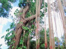 Kalaland camp tant Patong, tented camp en Patong Beach
