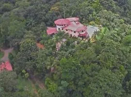 Toucans, Monkeys and Waterfalls- 2BR cottage