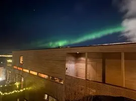 Arctic magic in the heart of Tromsø