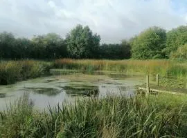 Nature Gem Near Haderslev With 160-Year-Old Beech