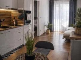 Charming City Apartment SIYANA - Self Check-in