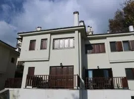 Villa Milea in Milies Pelion