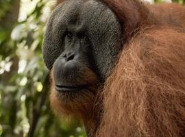 Sama Sama Homestay & Trekking Only Stay Here Book Trekking and Transport With Us