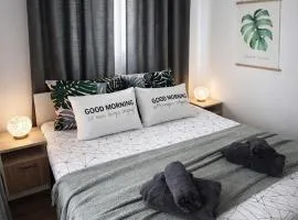 Charming City Apartment SIYANA - Self Check-in