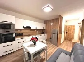 Apartmánový byt Nad řekou