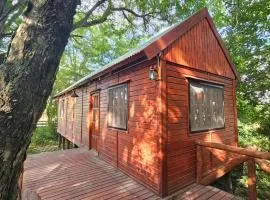 Cabaña Natural Del Bosque