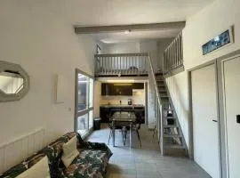 Appartement T2 Mezzanine avec Terrasse Proche Lac - Animaux Acceptés ! - FR-1-379-27