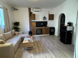 Modern suite with private Jacuzzi garden