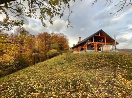 Amber Hills Romania, hotel a Braşov