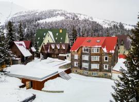 Gremi Hotel, hotel in Dragobrat