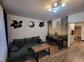 Apartament Nowomiejski