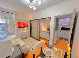 Luxury small Homely Apt villa
