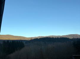 Panorama Apartments, hotel em Lohberg