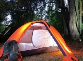 Camping fundo san pablo