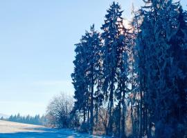 Pension Fanlor, hotel i Zubčická Lhotka