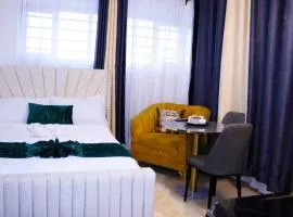 Luxe Cozy Studio w Roof Top View, 5G WiFi, Netflix