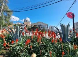 El chalet del Gato, Loft en hermoso barrio central Viña del Mar