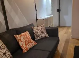 Cosy T2 bien placé proche de PartDieu dans Lyon 6