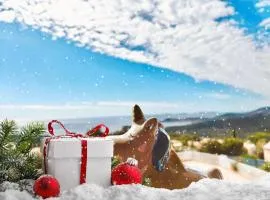 STUDIO POOL HOUSE 2 ETOILES VUE MER PANORAMIQUE AMAZING SEA VIEW WIFI LINGE LINEN INCLUS AIRCONDITIOn