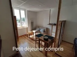 Studio sympa et très calme entre canal et Loire