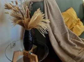 Cozy and fully equipped flat in the centrum