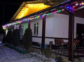 Dacha PODOBOVETS 127, hotel i Podobovets