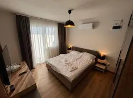 Mario Studio Craiova