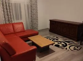 Apartment for rent G Enescu 14