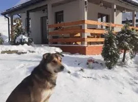 Domki w Bieszczadzkiej Dolinie