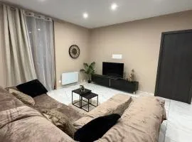 Appartemment 2 chambres à 10min de la gare à pied - LYON -Paris-Bellegarde-Genève