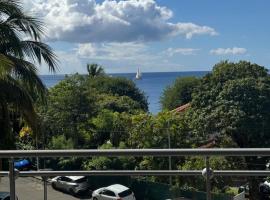 Elégant F2 de standing pieds dans l'eau, hotel i Schœlcher