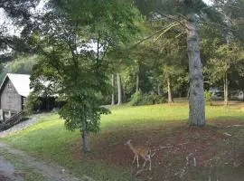 Beaver Creek Cabin - Relax and Enjoy