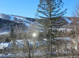 Mountain view chalet avec vue sur la montagne, villa sihtkohas Stoneham