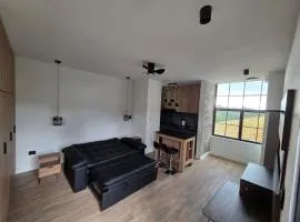 Casa Poznań Countryside Studio