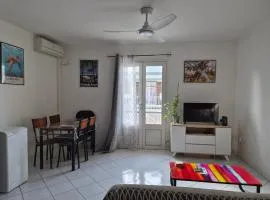 Le Frangipagnier Appartement T2 Centre ville