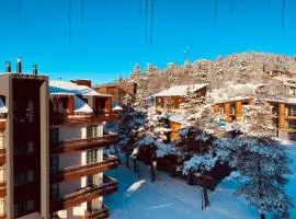 Bakuriani inn Apartment