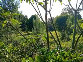 Tannenhof Camping Ground