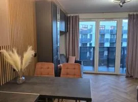 Green Baltic Apartments Portovo