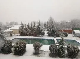 Bliss Inn Hotel Gabala Vandam