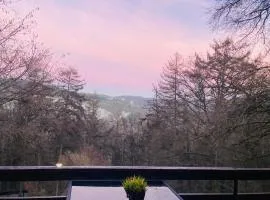 Woody Lodge - Duplex Nature Bonsoy Ardennes