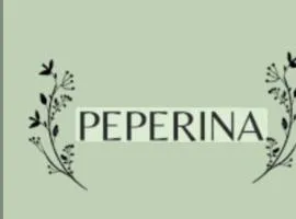 Peperina 2 villa Carlos paz