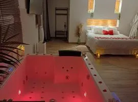 suite de charme avec jacuzzi privatif 20 minutes de Paris en lisière de foret