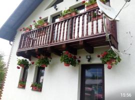 Vila Academos - Academos Retreat, Hotel in Şaru Dornei