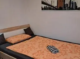 Beautiful, cozy room in Remseck near Stuttgart - ROOM A